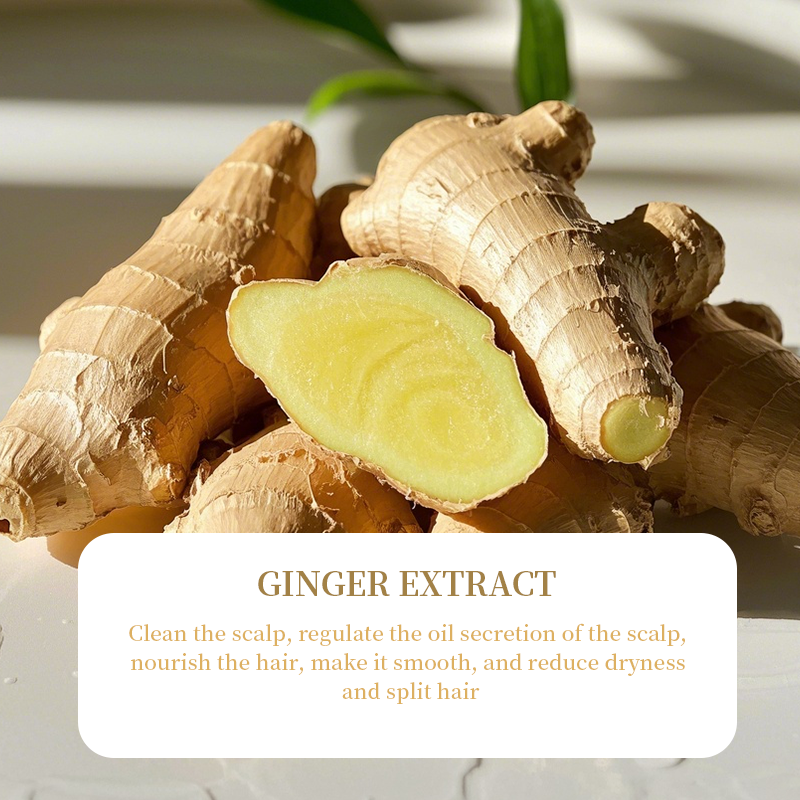 Healthy Organic Hair Care Oil Control Anti Loss Regrowth Ginger Hair Growth Shampoo